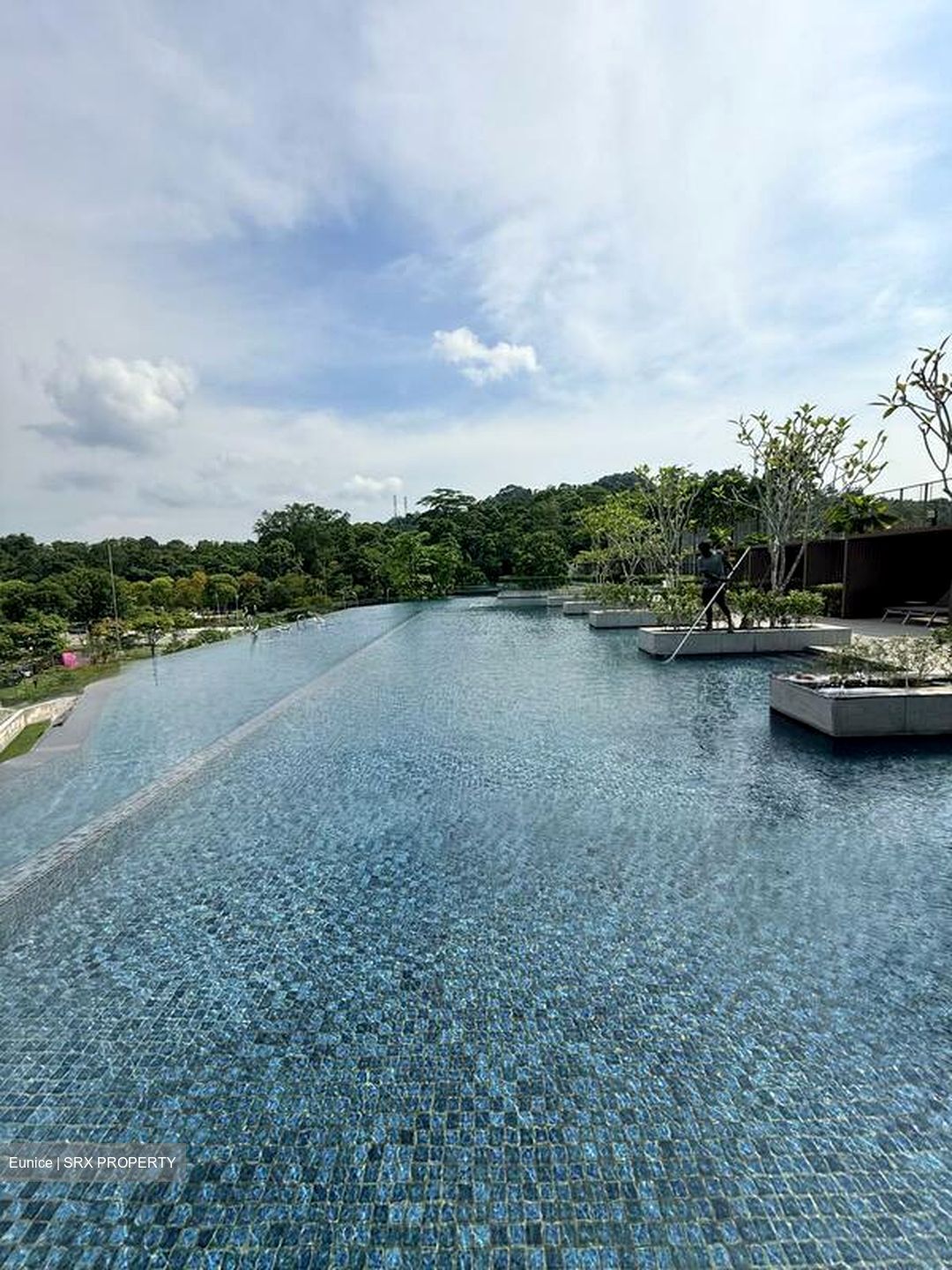 Dairy Farm Residences (D23), Apartment #597245551